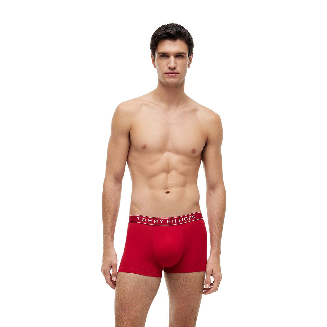 Tommy Hilfiger Men Underwear